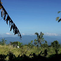 Photo de Bali - Autour de Munduk